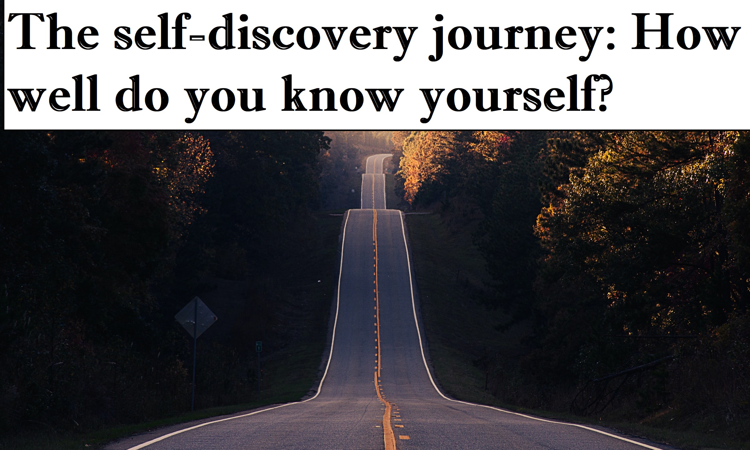 the self-discovery journey
